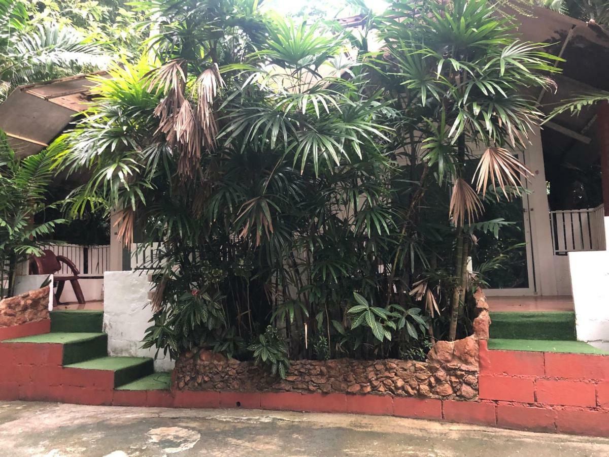 Pine Bungalow Krabi town Exteriör bild